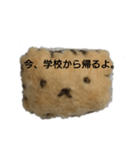 学生が使えるスタンプ（個別スタンプ：5）