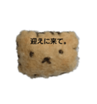 学生が使えるスタンプ（個別スタンプ：7）