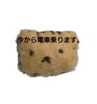 学生が使えるスタンプ（個別スタンプ：8）