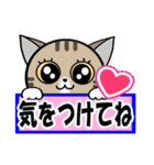 かわいい猫にゃん【日常敬語ver.】（個別スタンプ：5）
