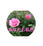 花スタンプで華を！2（個別スタンプ：1）
