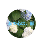 花スタンプで華を！2（個別スタンプ：2）