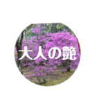 花スタンプで華を！2（個別スタンプ：10）