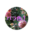 花スタンプで華を！2（個別スタンプ：12）