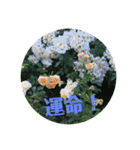 花スタンプで華を！2（個別スタンプ：16）