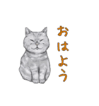 敬語で使いやすい！ブサカワ猫スタンプ（個別スタンプ：1）