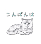敬語で使いやすい！ブサカワ猫スタンプ（個別スタンプ：2）