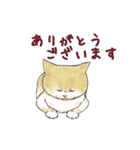 敬語で使いやすい！ブサカワ猫スタンプ（個別スタンプ：6）