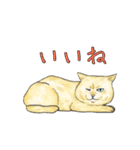 敬語で使いやすい！ブサカワ猫スタンプ（個別スタンプ：9）