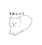 敬語で使いやすい！ブサカワ猫スタンプ（個別スタンプ：11）