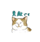 敬語で使いやすい！ブサカワ猫スタンプ（個別スタンプ：12）