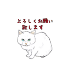 敬語で使いやすい！ブサカワ猫スタンプ（個別スタンプ：14）
