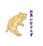 敬語で使いやすい！ブサカワ猫スタンプ（個別スタンプ：15）
