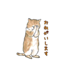 敬語で使いやすい！ブサカワ猫スタンプ（個別スタンプ：17）