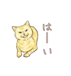 敬語で使いやすい！ブサカワ猫スタンプ（個別スタンプ：18）