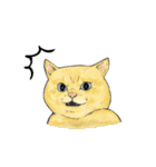 敬語で使いやすい！ブサカワ猫スタンプ（個別スタンプ：21）