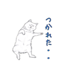 敬語で使いやすい！ブサカワ猫スタンプ（個別スタンプ：22）