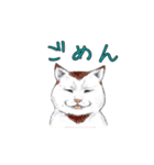 敬語で使いやすい！ブサカワ猫スタンプ（個別スタンプ：25）