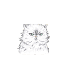 敬語で使いやすい！ブサカワ猫スタンプ（個別スタンプ：29）