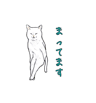 敬語で使いやすい！ブサカワ猫スタンプ（個別スタンプ：32）