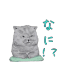 敬語で使いやすい！ブサカワ猫スタンプ（個別スタンプ：34）