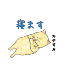 敬語で使いやすい！ブサカワ猫スタンプ（個別スタンプ：36）