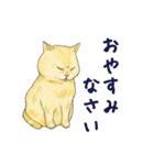 敬語で使いやすい！ブサカワ猫スタンプ（個別スタンプ：37）