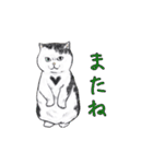 敬語で使いやすい！ブサカワ猫スタンプ（個別スタンプ：40）