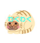 茶トラ猫のおんなのこ、べるしく（個別スタンプ：3）