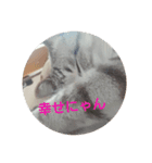 アボの気持ちスタンプ2（個別スタンプ：1）