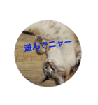 アボの気持ちスタンプ2（個別スタンプ：2）
