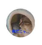 アボの気持ちスタンプ2（個別スタンプ：8）
