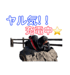 Nalevin's ぎゃらり〜（個別スタンプ：38）
