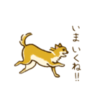 ちびとはな（個別スタンプ：14）