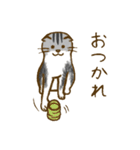 ちびとはな（個別スタンプ：18）