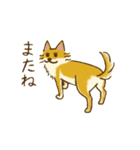 ちびとはな（個別スタンプ：20）