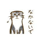 ちびとはな（個別スタンプ：34）