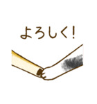 ちびとはな（個別スタンプ：37）