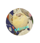 けーきちゃん！スタンプ（個別スタンプ：2）