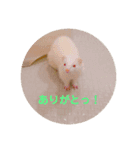けーきちゃん！スタンプ（個別スタンプ：5）