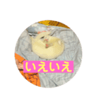 けーきちゃん！スタンプ（個別スタンプ：6）