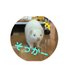 けーきちゃん！スタンプ（個別スタンプ：7）