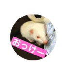 けーきちゃん！スタンプ（個別スタンプ：8）