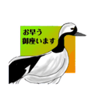 鶴と少しヒヨコによる敬語でお話努力（個別スタンプ：12）