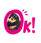 いとをかし。❷（個別スタンプ：1）