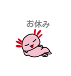 うぱるーぱスタンプ（個別スタンプ：11）