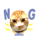 今日も茶色いコタローお猫 2（個別スタンプ：2）