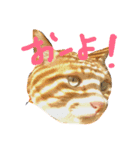 今日も茶色いコタローお猫 2（個別スタンプ：3）