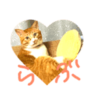 今日も茶色いコタローお猫 2（個別スタンプ：5）