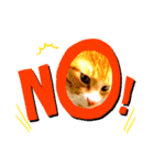 今日も茶色いコタローお猫 2（個別スタンプ：7）